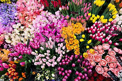 《GTA》系列创始人新项目“荒诞宇宙”即将全面展开